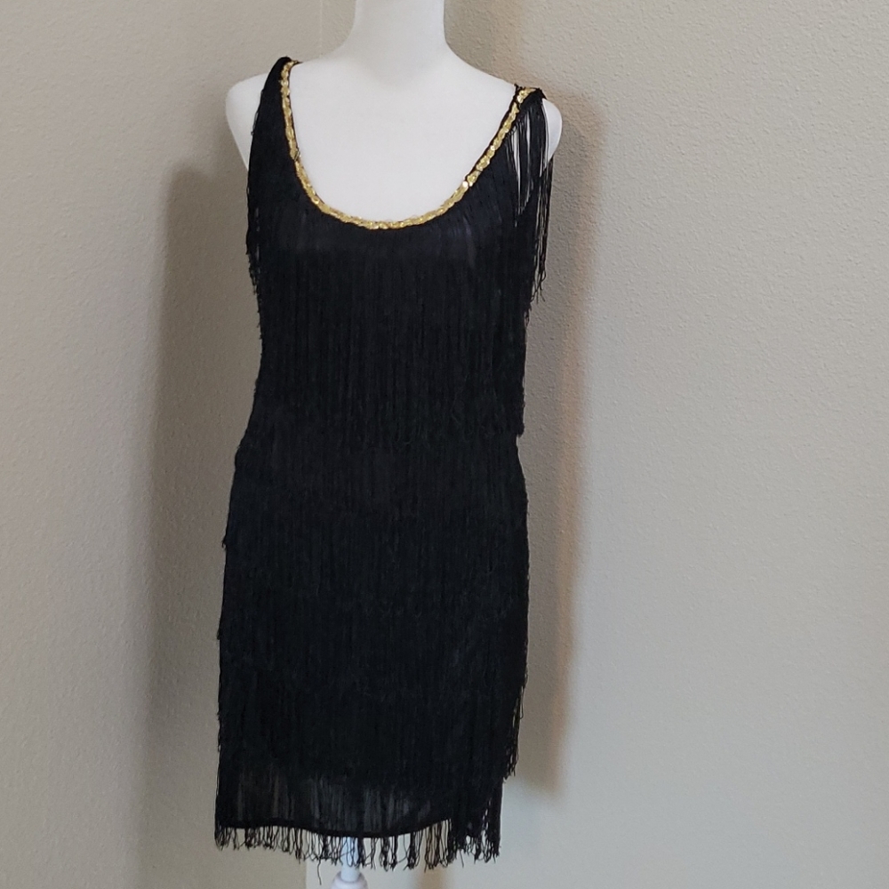 Flapper dress costume